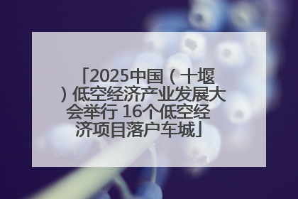 2025中国（十堰）低空经济产业发展大会举行 16个低空经济项目落户车城