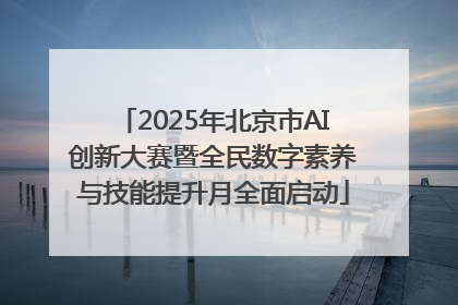 2025年北京市AI创新大赛暨全民数字素养与技能提升月全面启动