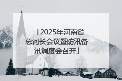 2025年河南省总河长会议暨防汛备汛调度会召开