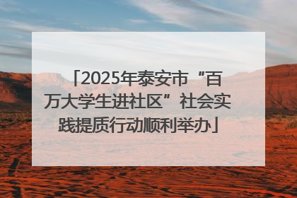 2025年泰安市“百万大学生进社区”社会实践提质行动顺利举办