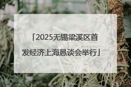 2025无锡梁溪区首发经济上海恳谈会举行