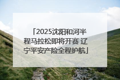 2025沈阳和河半程马拉松即将开赛 辽宁平安产险全程护航