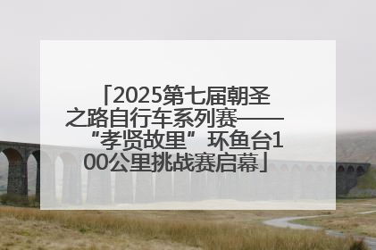 2025第七届朝圣之路自行车系列赛——“孝贤故里”环鱼台100公里挑战赛启幕