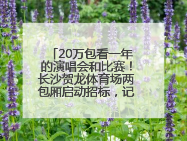 20万包看一年的演唱会和比赛！长沙贺龙体育场两包厢启动招标，记者实地探访