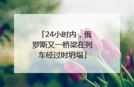 24小时内，俄罗斯又一桥梁在列车经过时坍塌