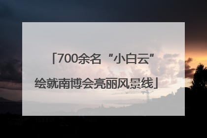 700余名“小白云”绘就南博会亮丽风景线