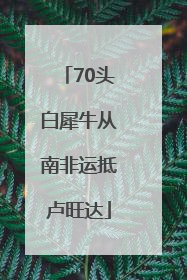 70头白犀牛从南非运抵卢旺达