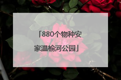 880个物种安家温榆河公园