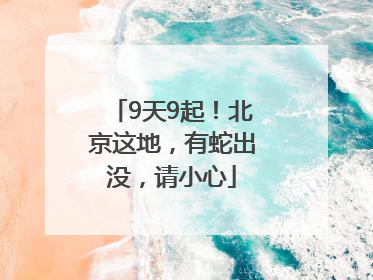 9天9起！北京这地，有蛇出没，请小心
