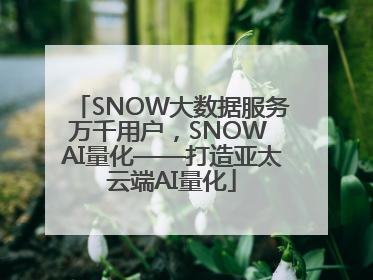 SNOW大数据服务万千用户，SNOW AI量化——打造亚太云端AI量化